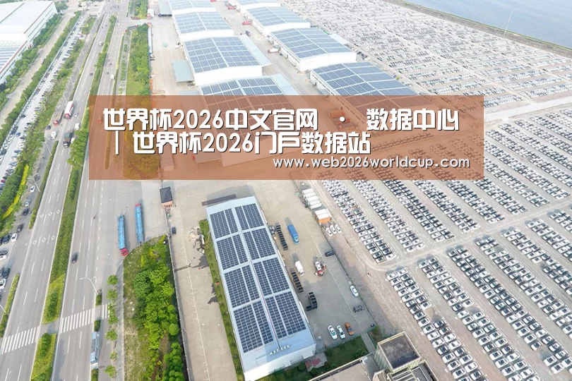 案例展示一