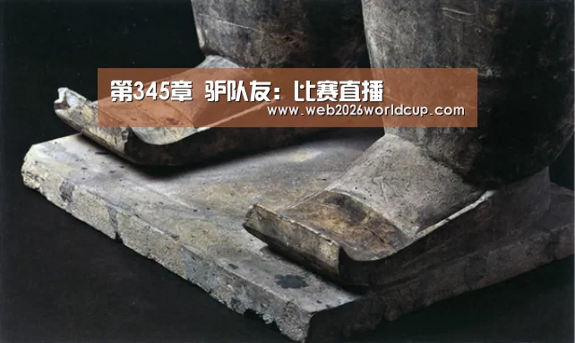 48强分组