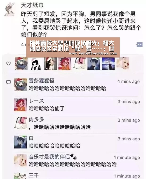 48强分组
