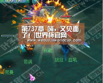 48强分组