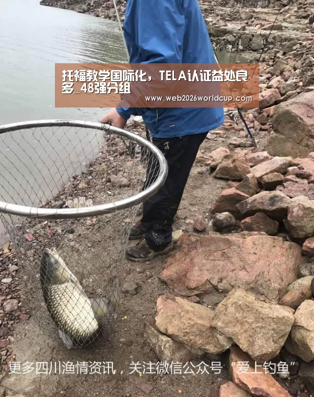 托福教学国际化,TELA认证益处良多_48强分组(图1) 48强分组
